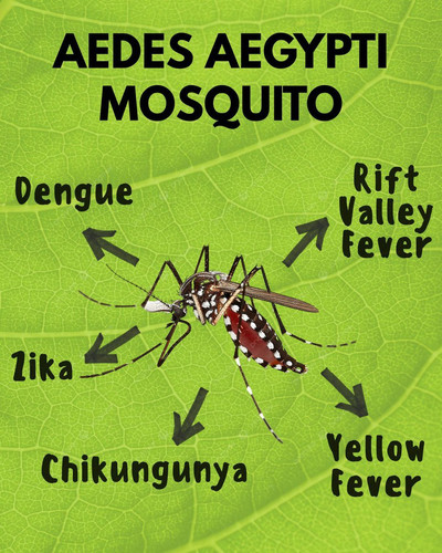 G r54DtWMAA5dNG?format=jpg.jpg