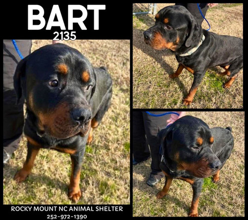 G WMIucXYAAEtV2?format=jpg.jpg