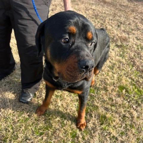 G qCxyGWgAAx6hv?format=jpg.jpg