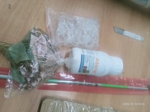 WhatsApp Image 2026 01 16 at 13.04.13 (1).jpg