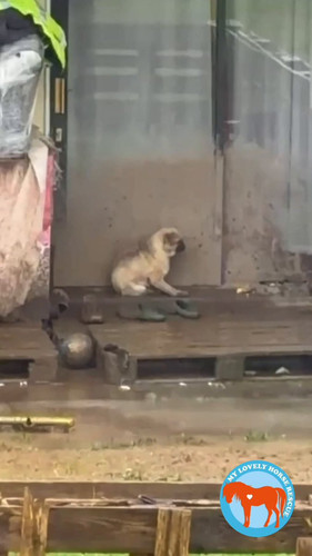 cjB Lg7cK3UDPyO2.jpg