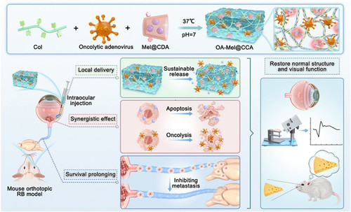 G rdImkWIAALrEs?format=jpg.jpg