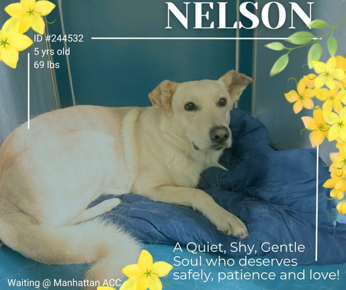 G bfU7CWEAAmf e?format=jpg.jpg