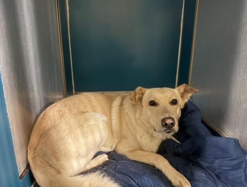 G ub9JIa4AAts62?format=jpg.jpg