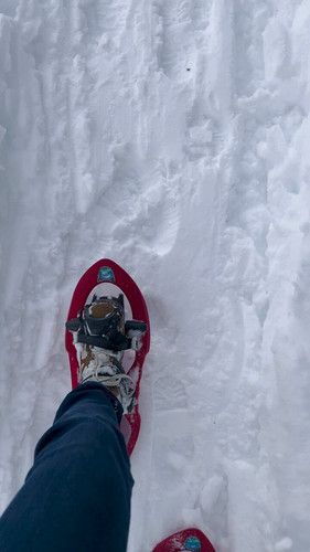 F 8ZmH zni WMJvE.jpg