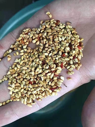 512v2jdDivL. AC UF1000,1000 QL80 .jpg