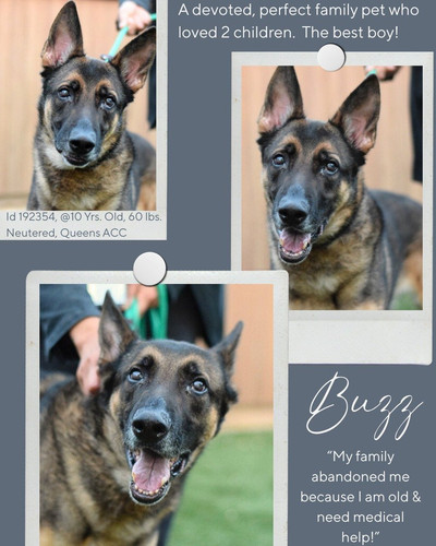 G lodSgbQAczo3b?format=jpg.jpg