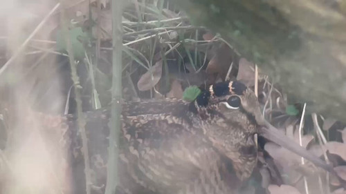 MrxU zHr14TE8jnc.jpg