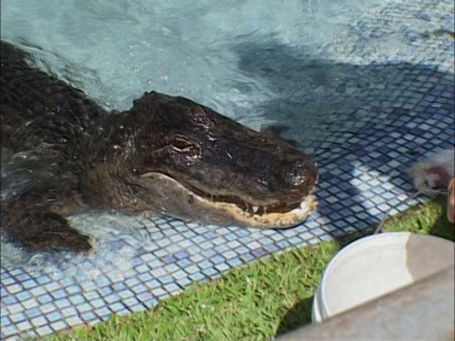 vlcsnap 2026 01 14 14h22m54s905.png