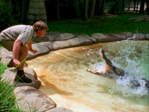 vlcsnap 2026 01 14 14h26m07s307.png