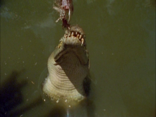 vlcsnap 2026 01 14 14h23m04s265.png