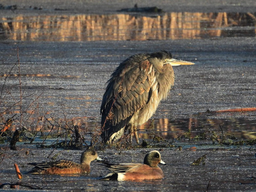 G lwLfDbQAUGKny?format=jpg.jpg