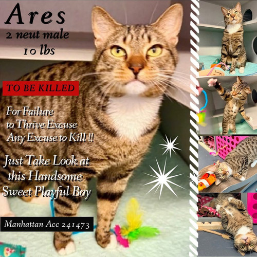 G mBHRTbUAAT3mX?format=jpg.jpg