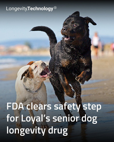 G pRifXWAAA3mb8?format=jpg.jpg