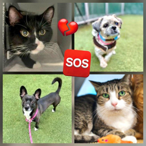 G mP1VebEAAFA1D?format=jpg.jpg