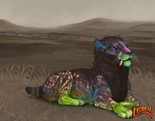 lioden wardrobe 2026 01 14T142530.494.png