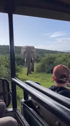 rlS qj5o16rrVGr1.jpg