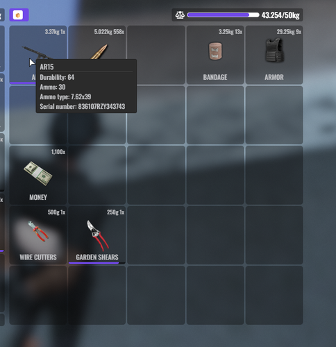 FiveM GTAProcess ZCZBhiMoc3.png