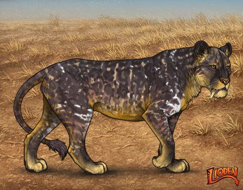 lioden wardrobe 2026 01 14T143559.967.png