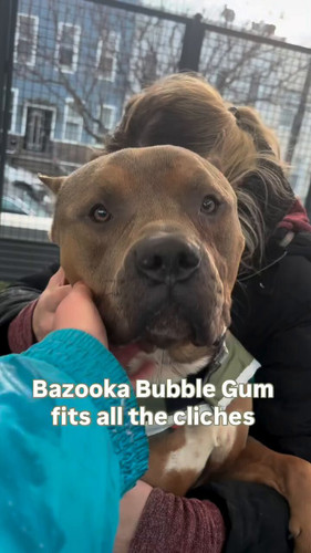 3f4s05SN 7K2QorG.jpg