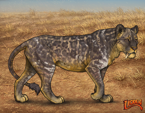 lioden wardrobe 2026 01 14T143304.101.png