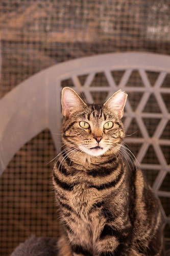 G UuwmwX0AELaOd?format=jpg.jpg