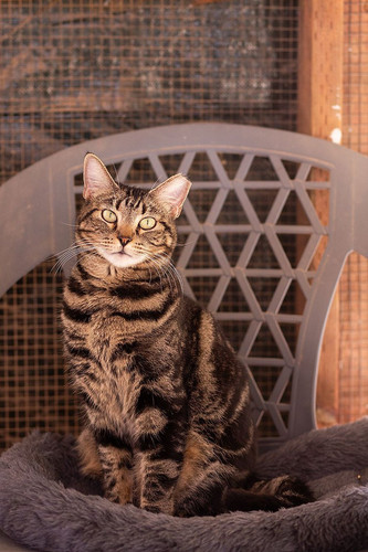 G Uuwm5XcAAlJxv?format=jpg.jpg