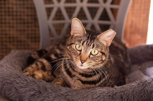 G UuxWrX0AApm28?format=jpg.jpg