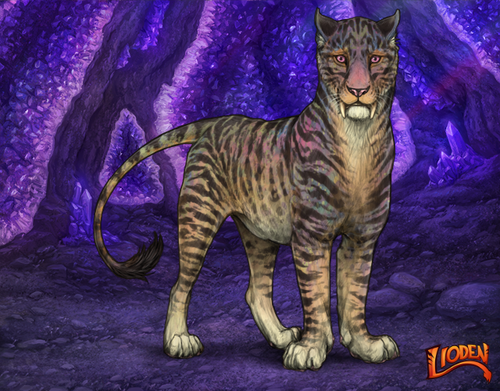 lioden wardrobe 2026 01 14T143800.474.png