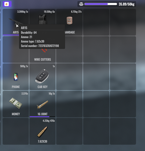 FiveM GTAProcess P6Wul0KZyY.png