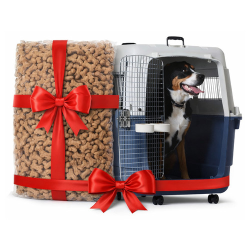 ChatGPT Image Jan 14, 2026, 05 55 17 PM.jpg