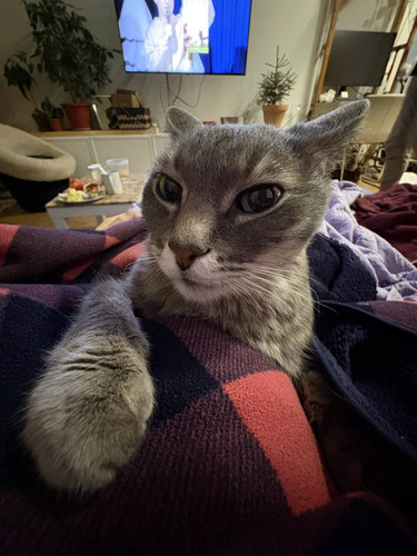 G oUyq9b0AIxH8i?format=jpg.jpg