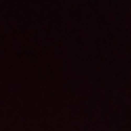 10d37f569501.jpg