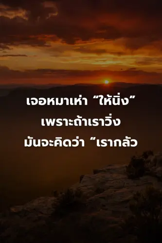 ac5bf3e9b536.webp