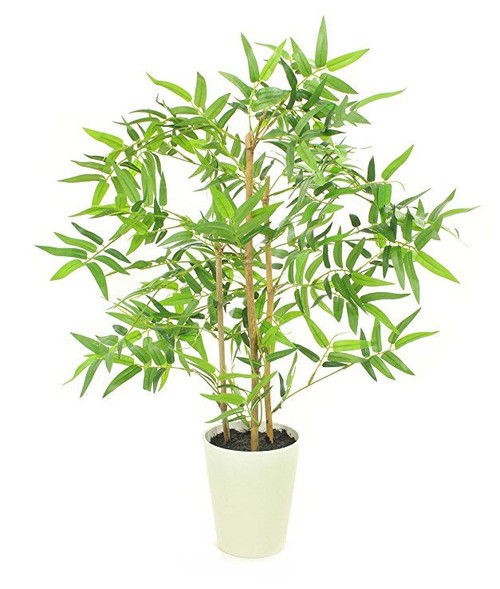 Closer2Nature 2ft 3” Artificial Golden Bamboo; Artificial Plants With White Pot, Great for Indoor an.jpg