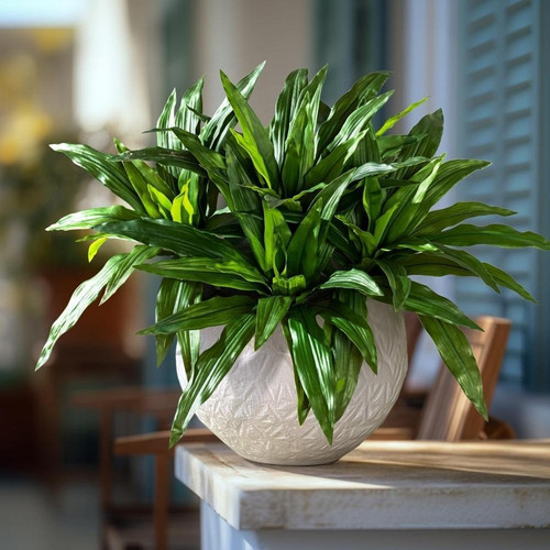 71fBTVinVSL. AC SL1280 (1).jpg