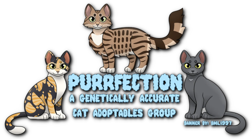 purrfection group