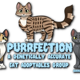 purrfection group