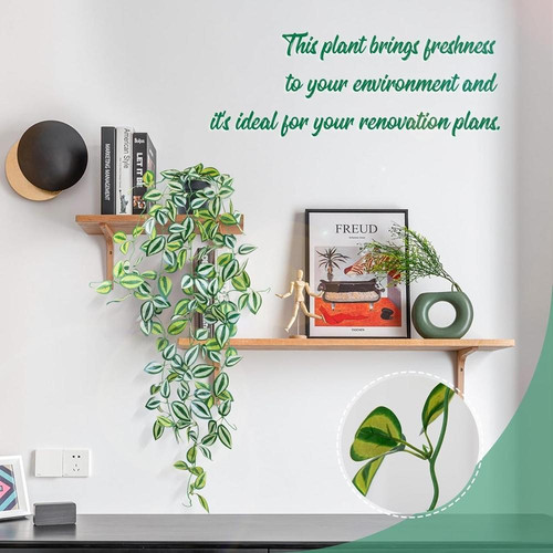 71y3lP81t+L. AC SL1500 (1).jpg