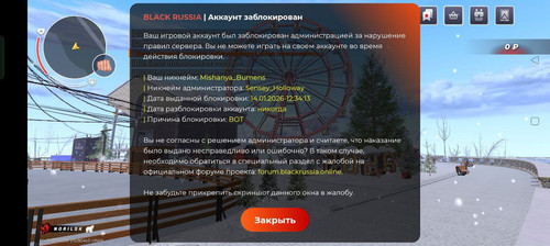 IMG 20260115 132606 731.jpg