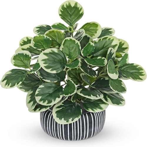 71BfgXwxZNL. AC SL1500 (1).jpg