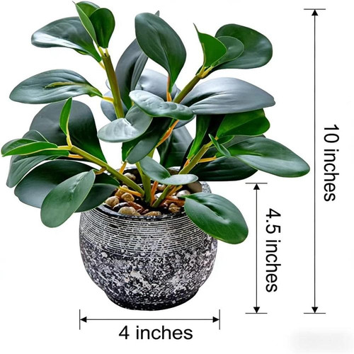 71G1EK4X0rL. AC SL1280 (1).jpg