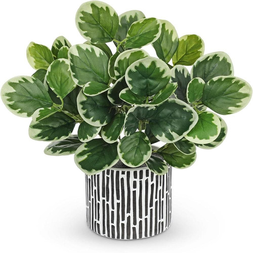 717ELCRTRDL. AC SL1500 (1).jpg