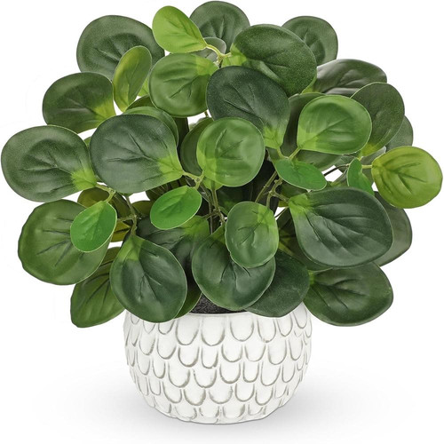 71+Mb0Y26wL. AC SL1500 (1).jpg