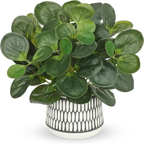 71Vg89R5YTL. AC SL1500 (1).jpg