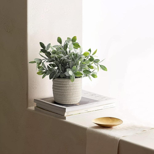 71yZxheZBnL. AC SL1500 (1).jpg