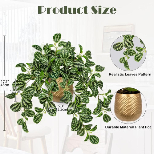 81qMVlZuhbL. AC SL1500 (1).jpg