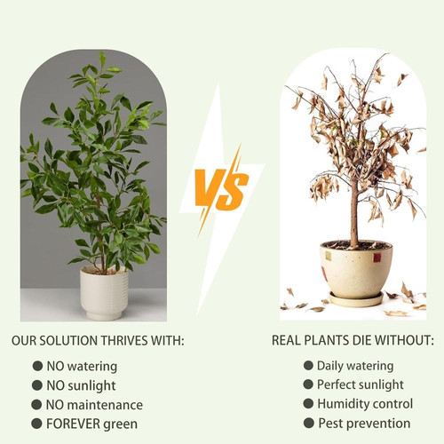 71e3erVMYjL. AC SL1500 (1).jpg