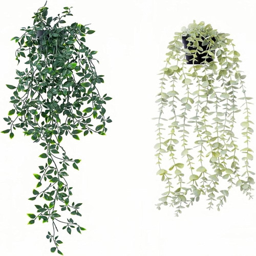 71x1RdFw3lL. AC SL1500 (1).jpg