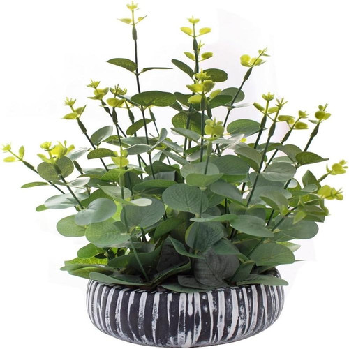 61ckDx5SNIL. AC SL1200 (1).jpg